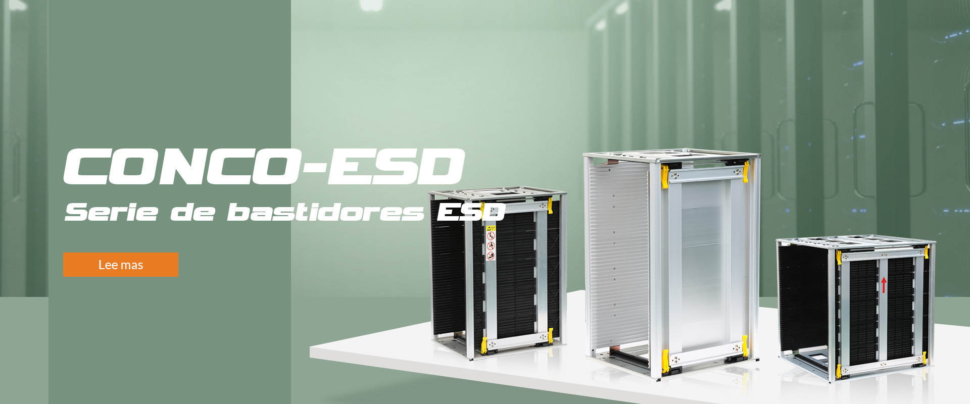 Meaning of ESD